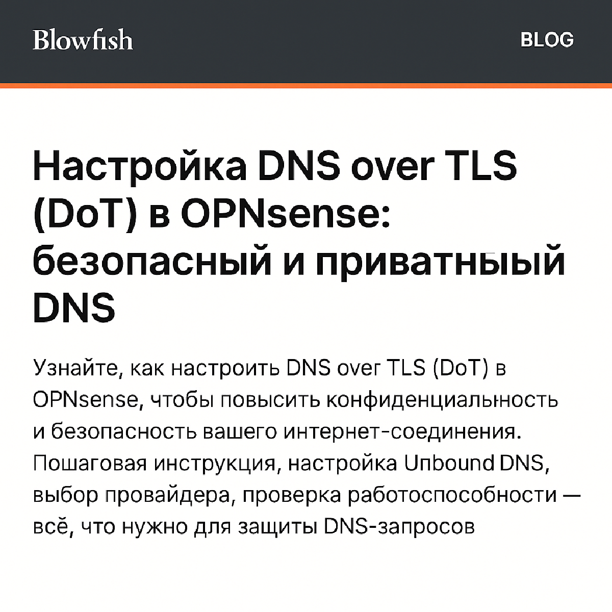 Безопасный DNS: настройка DNS over TLS в OPNsense с помощью Unbound DNS